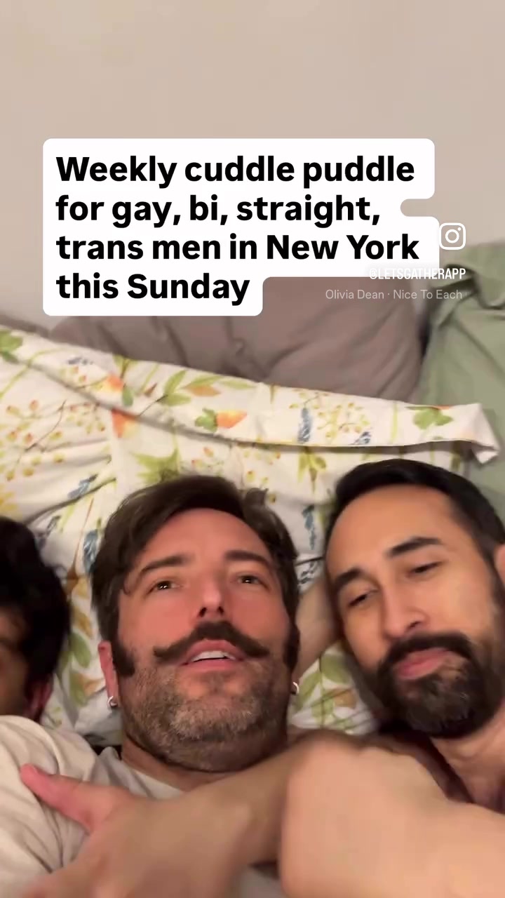 @GayBritishBear