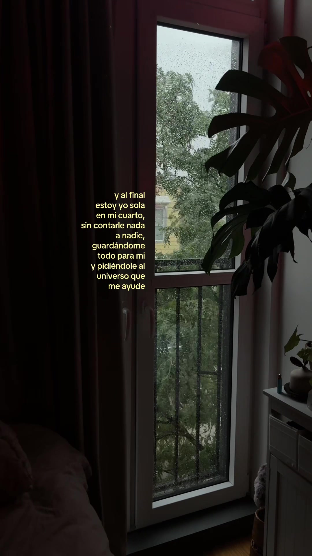 @mind your garden