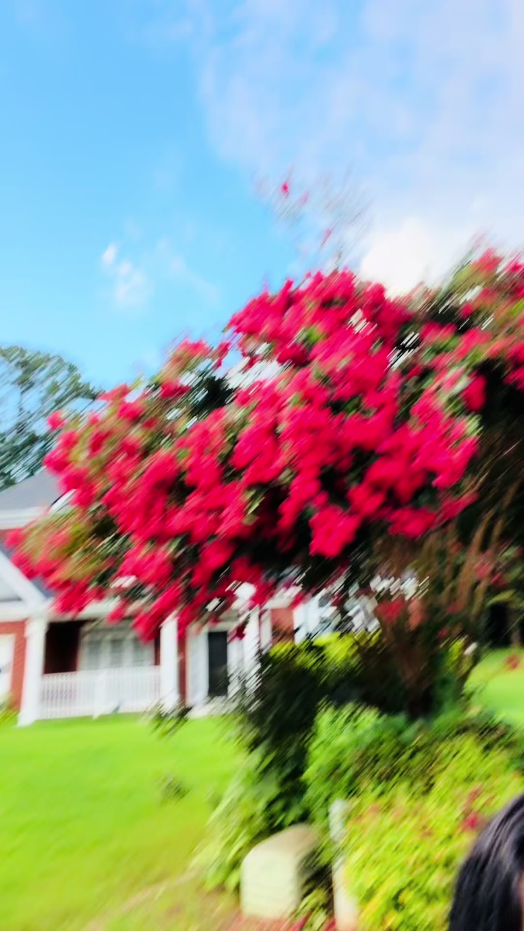 @đĢPUJA đēđ¸