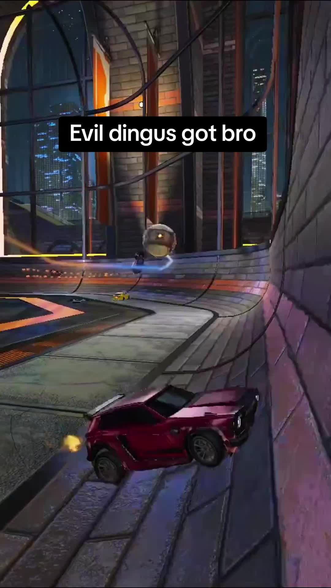 @Mr Lemon