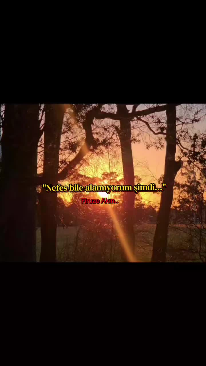 @firuzɛ⚘️