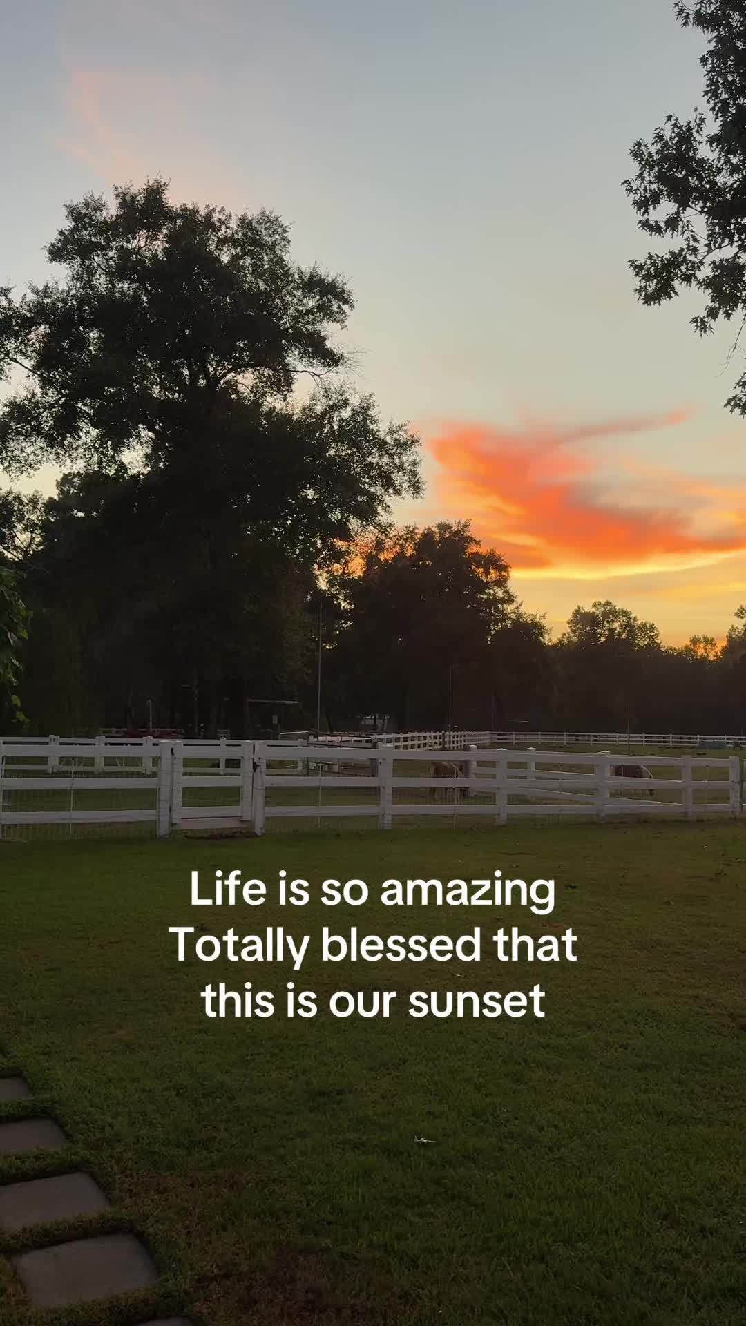 @Big Horse Farm Company LLC