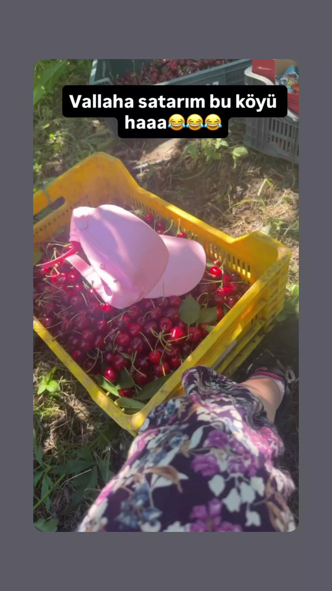 @özooo