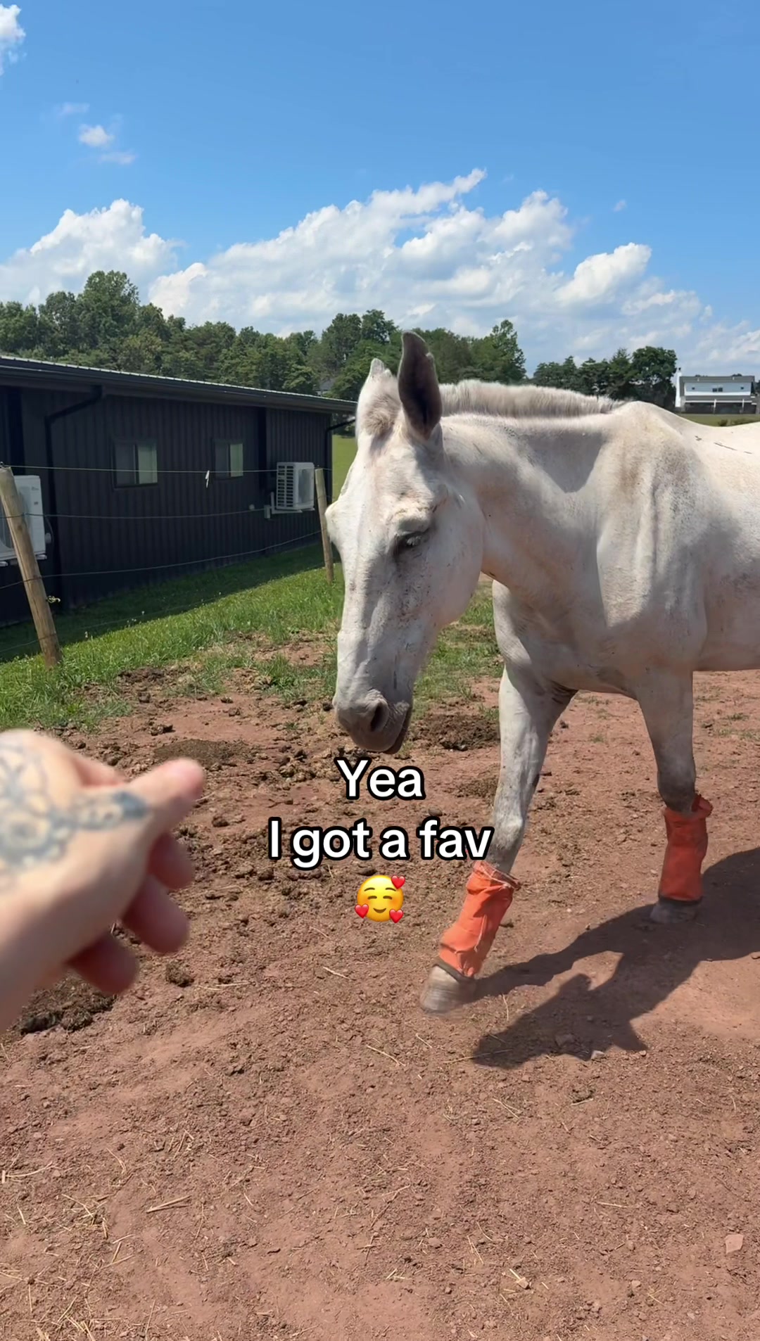 @PuffCady