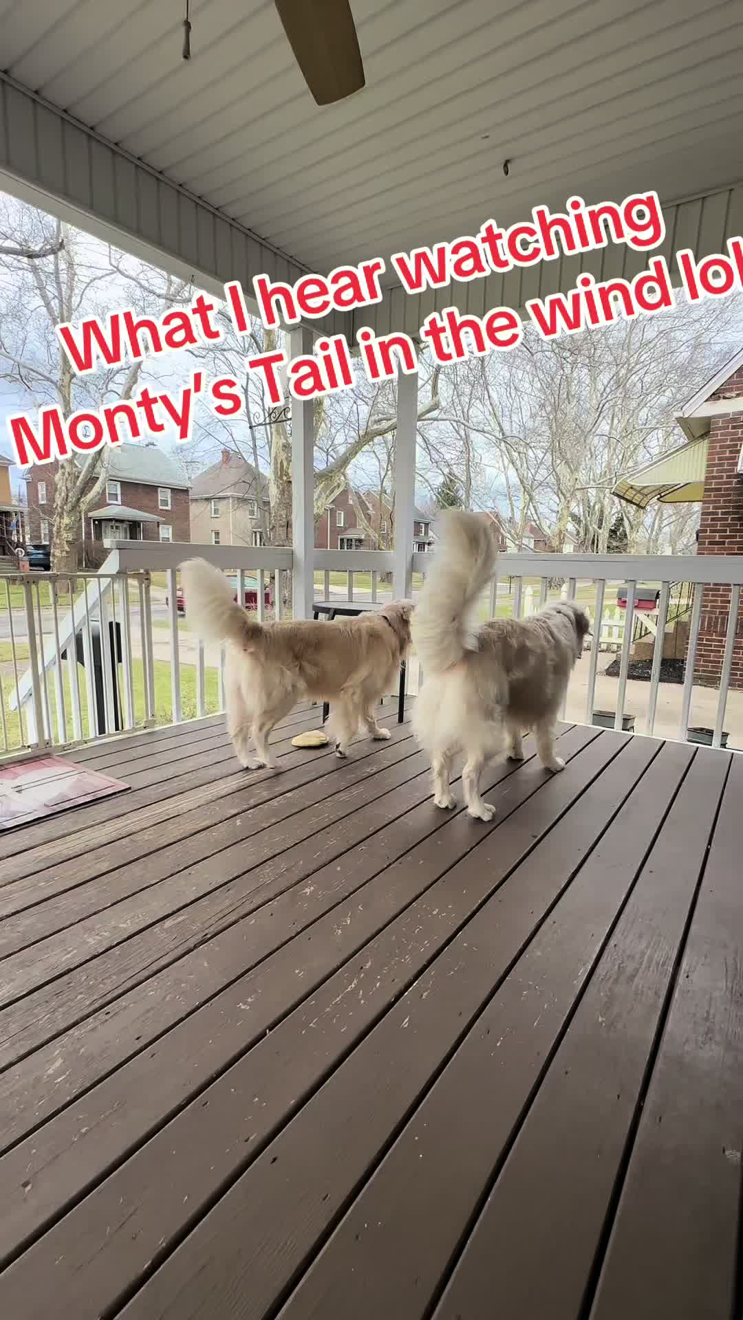 @Golden_mom
