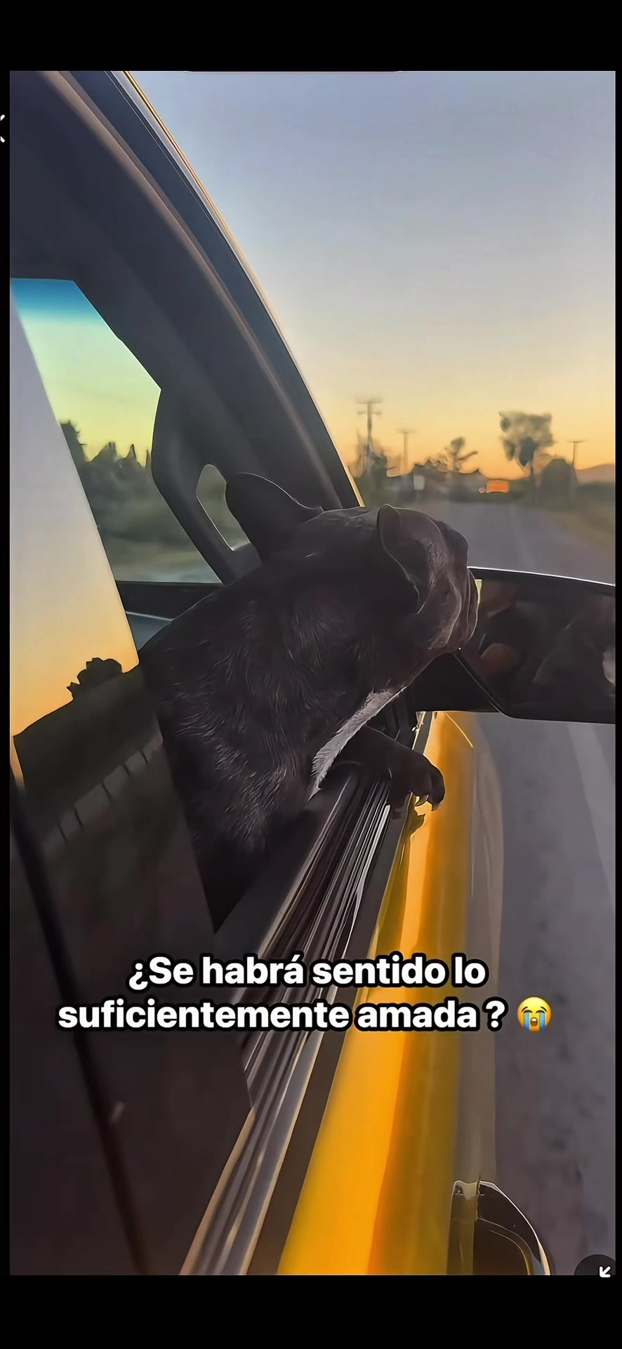 @Felipe miralles Tío Reycar