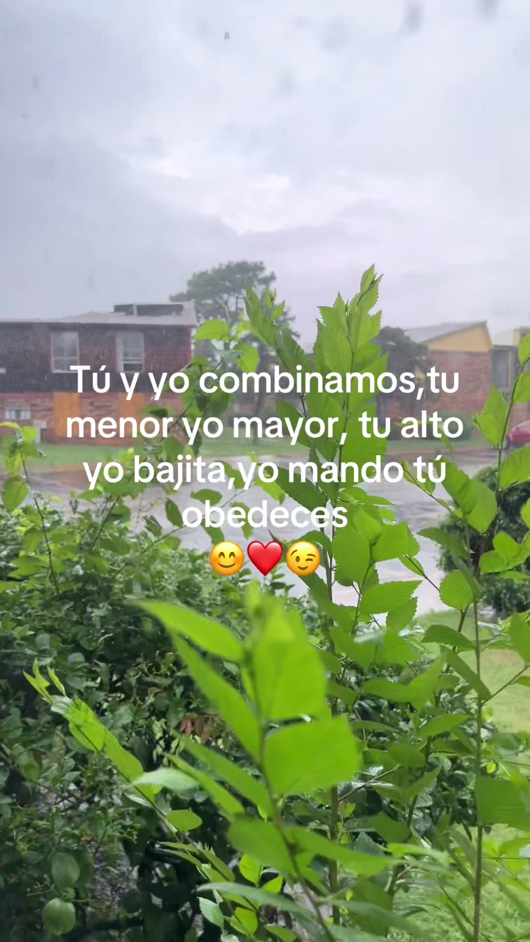 @Bibi
