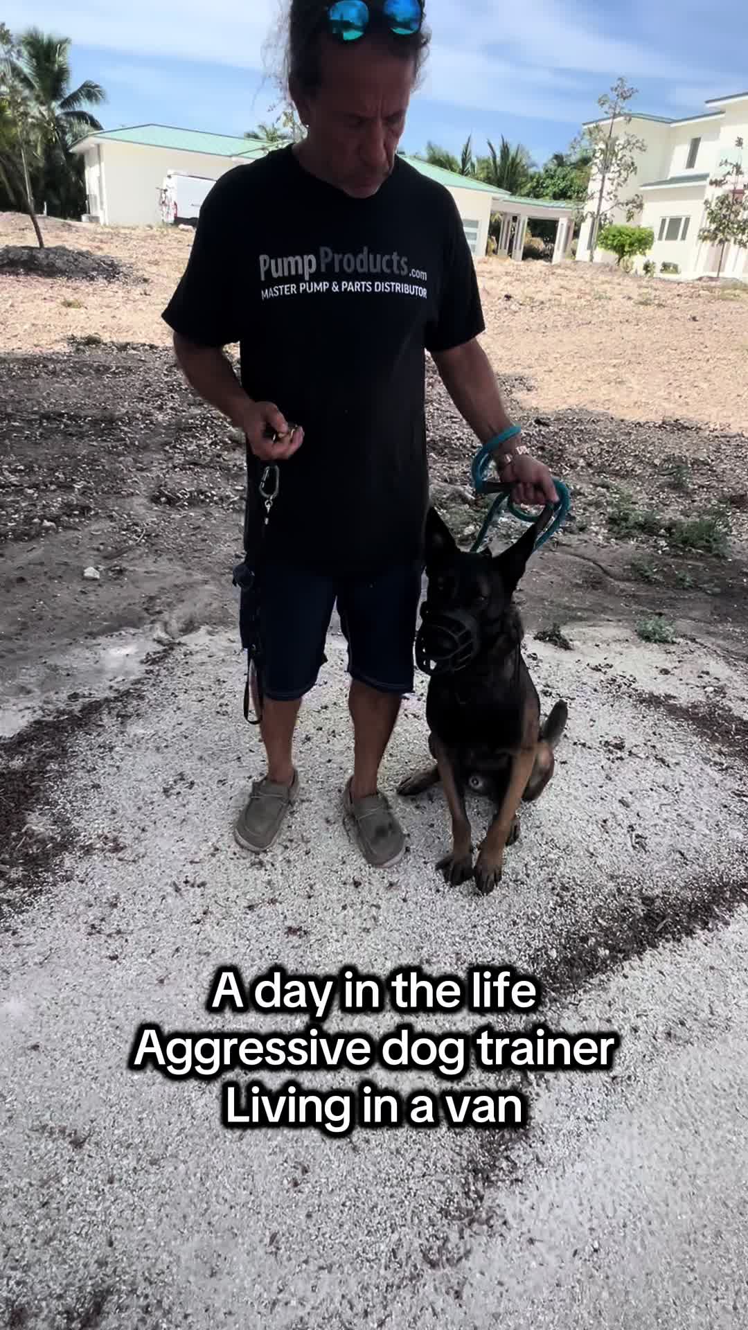@balancedcanineacademy