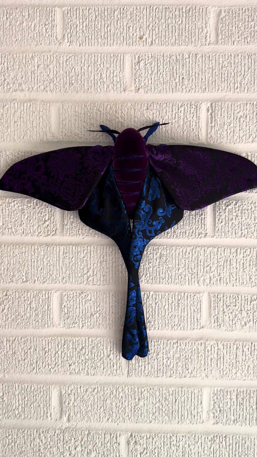 @Molly Burgess Designs