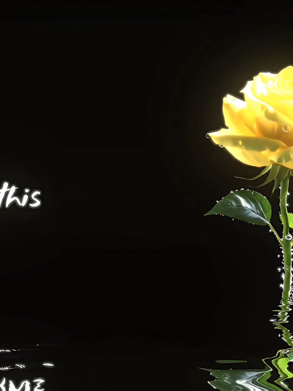 @𝐇𝐈𝐑𝐎.
