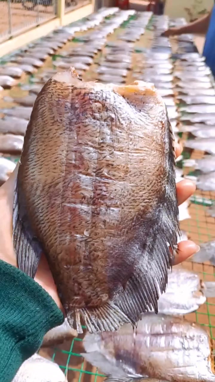 @Quốc Khánh