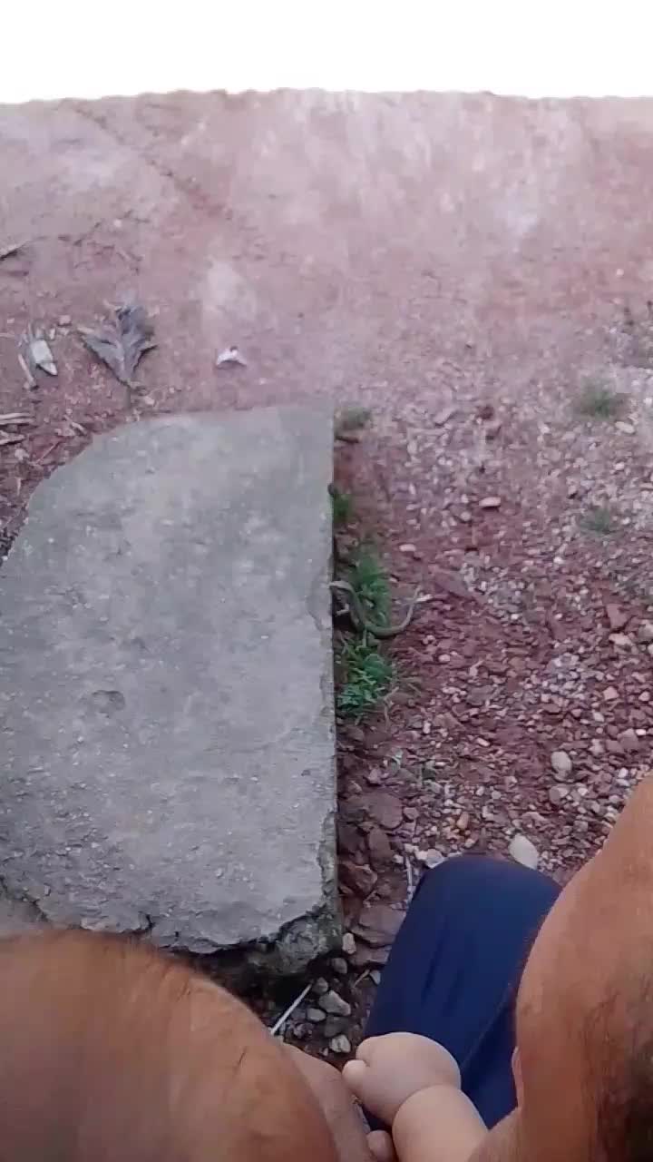 @𝐃𝐚𝐧𝐢🌹❤