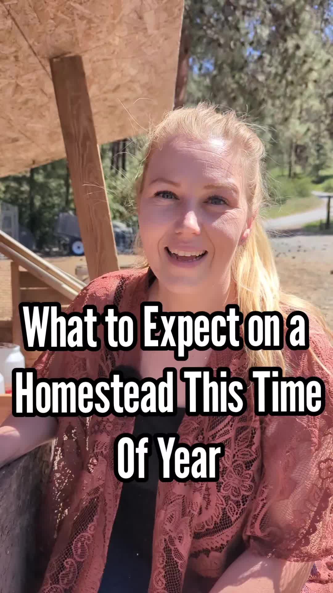 @MountainSpringHomestead