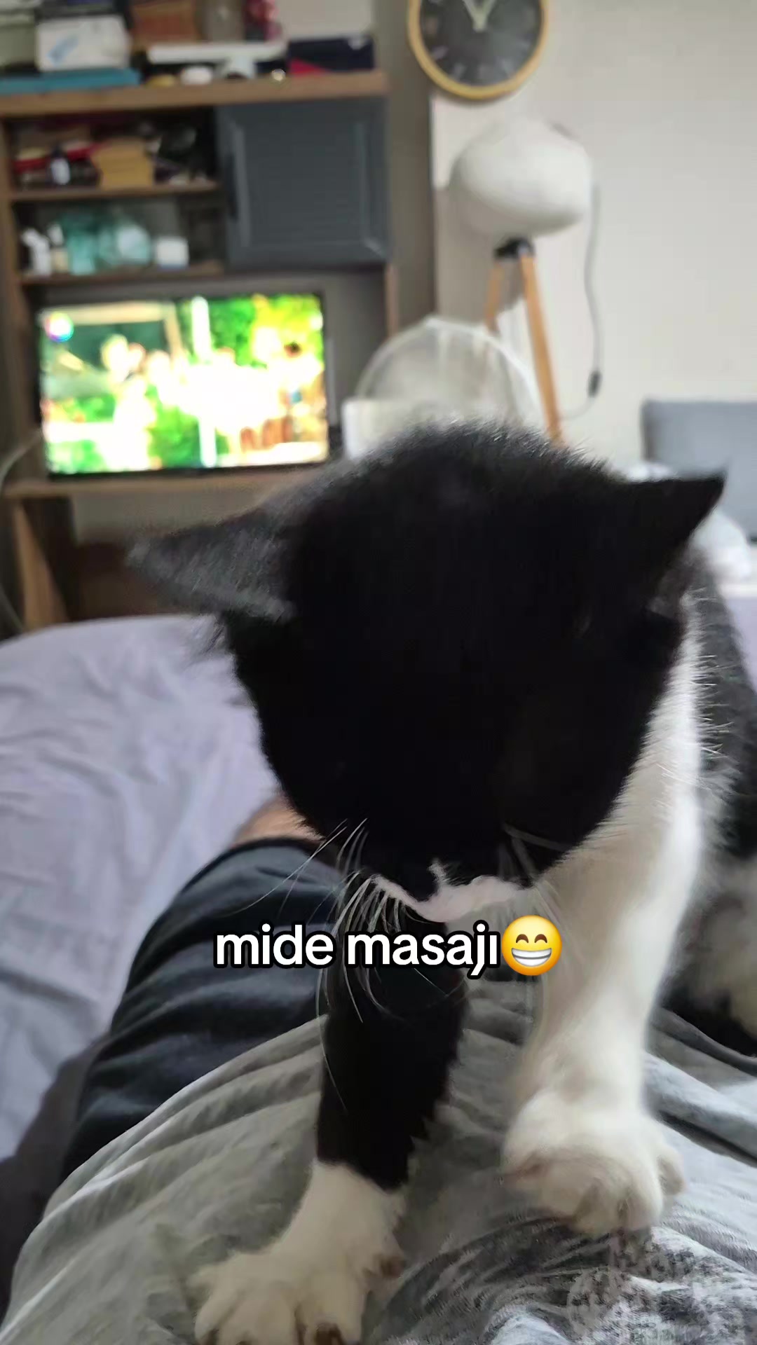 @kuzey