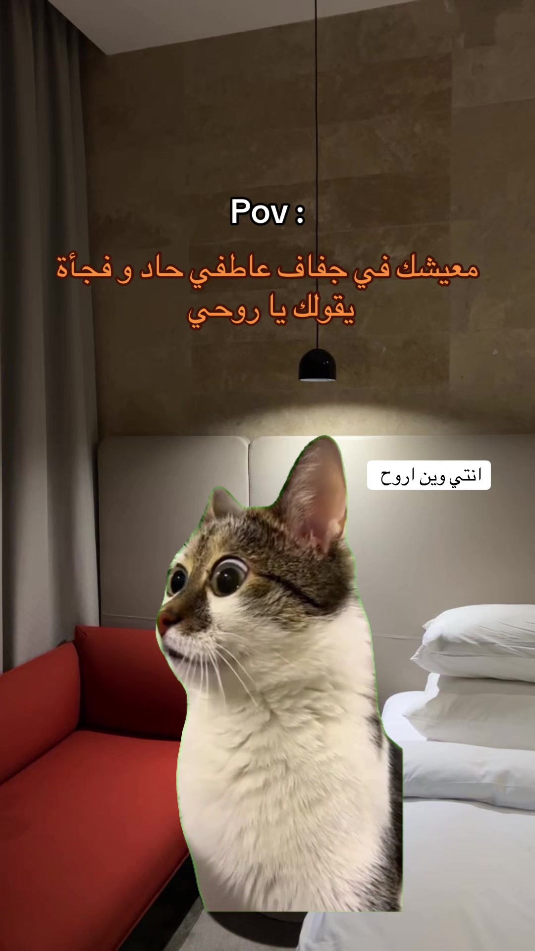 @๐R eps Mohamed๐