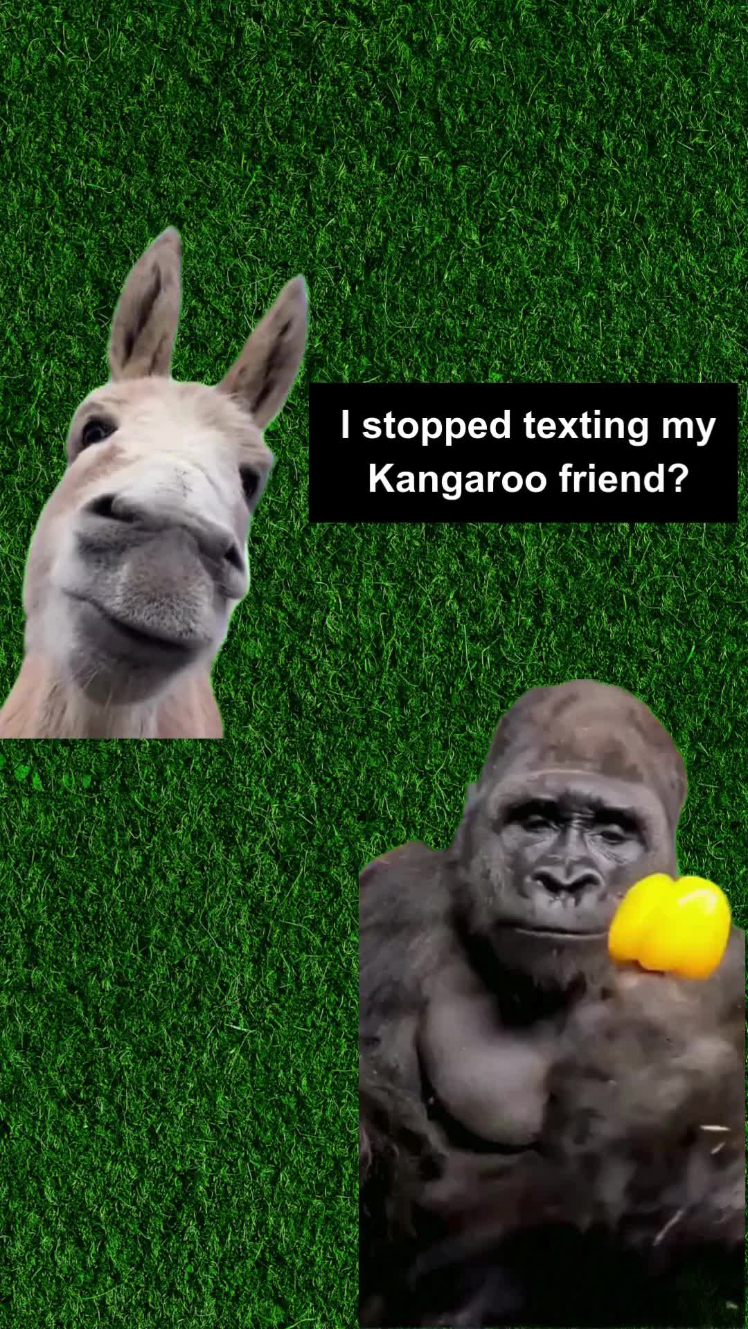 @CritterFacts
