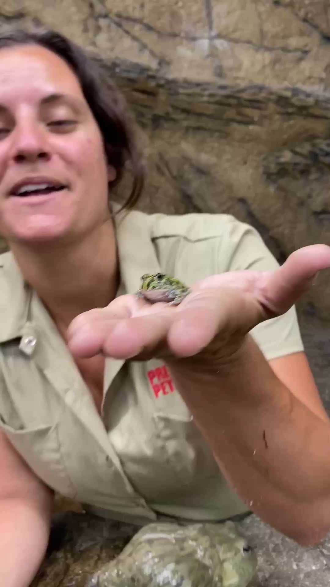 @The Reptile Zoo