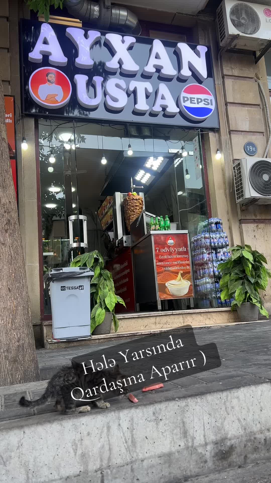 @Ayxan.Usta