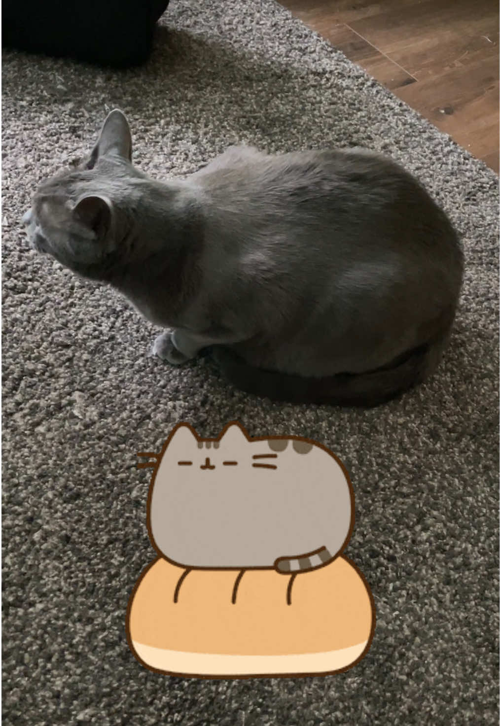 @ACatNamedMushroom