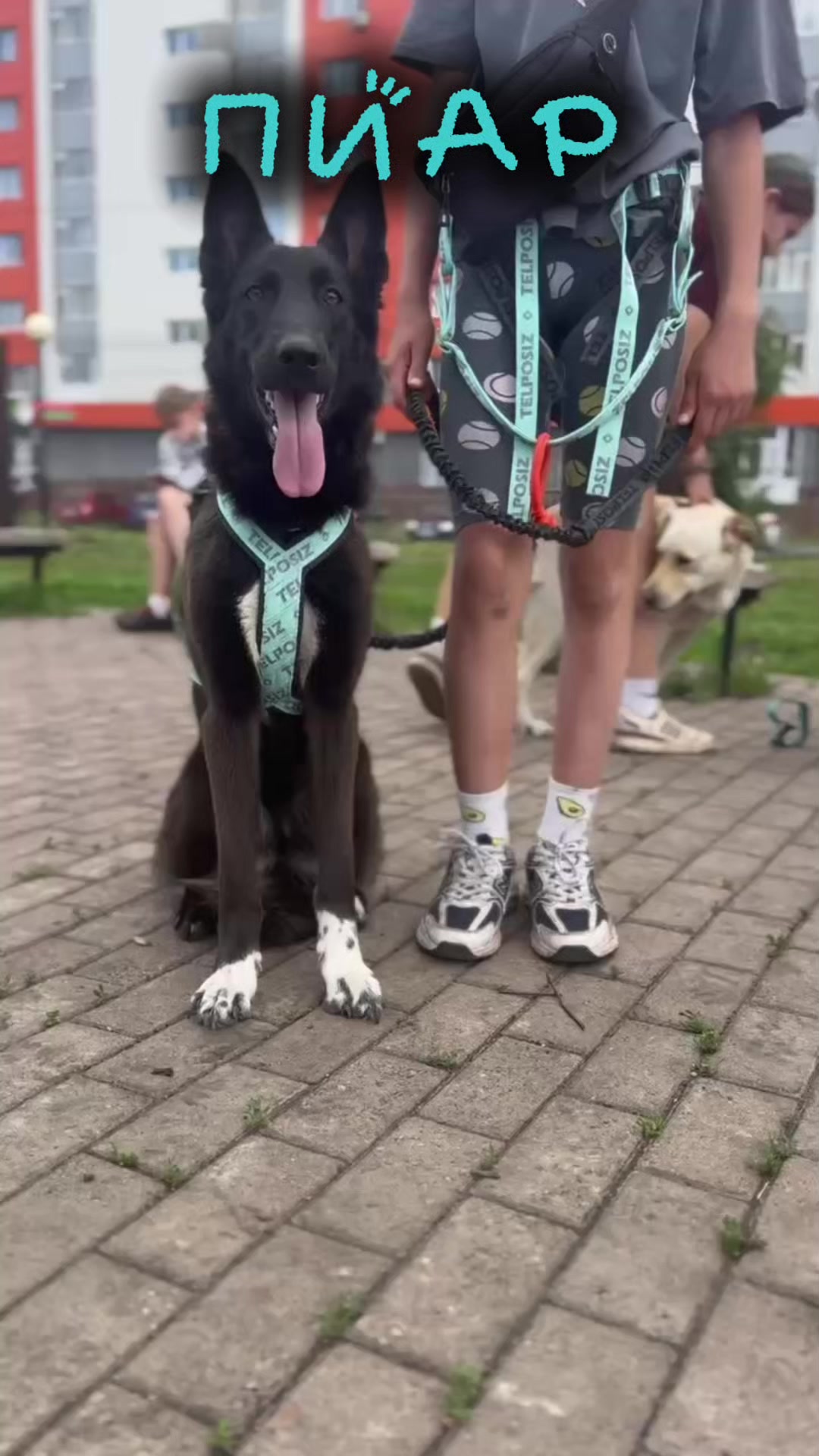 @метиска в раю