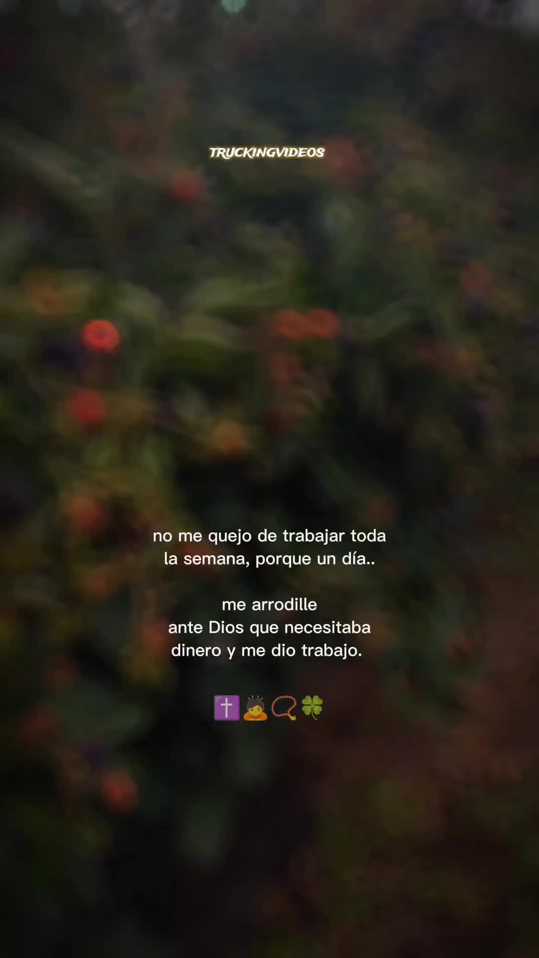 @Vzquezz S&aelig;bino😌😍