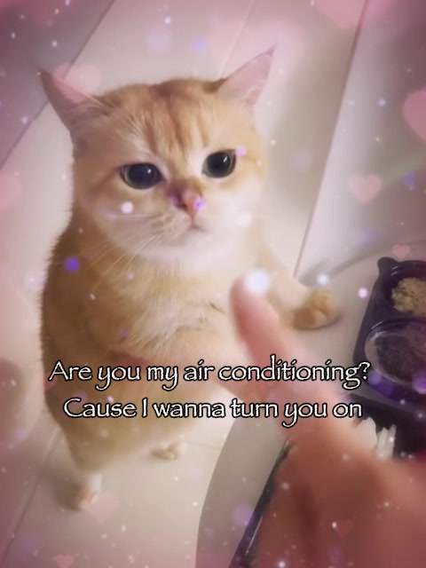 @VyyPilgrim72