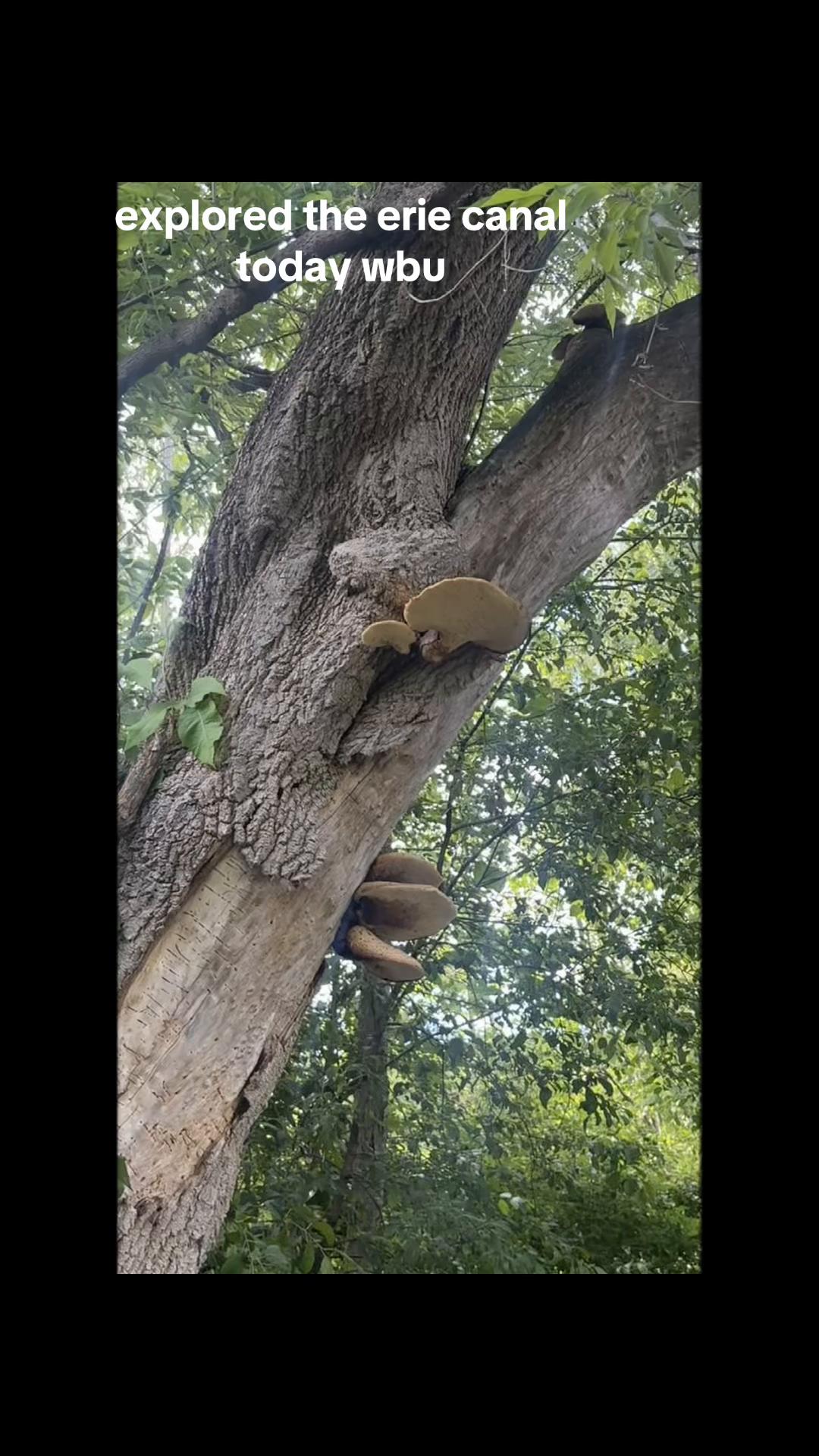 @squirrellover 🖤