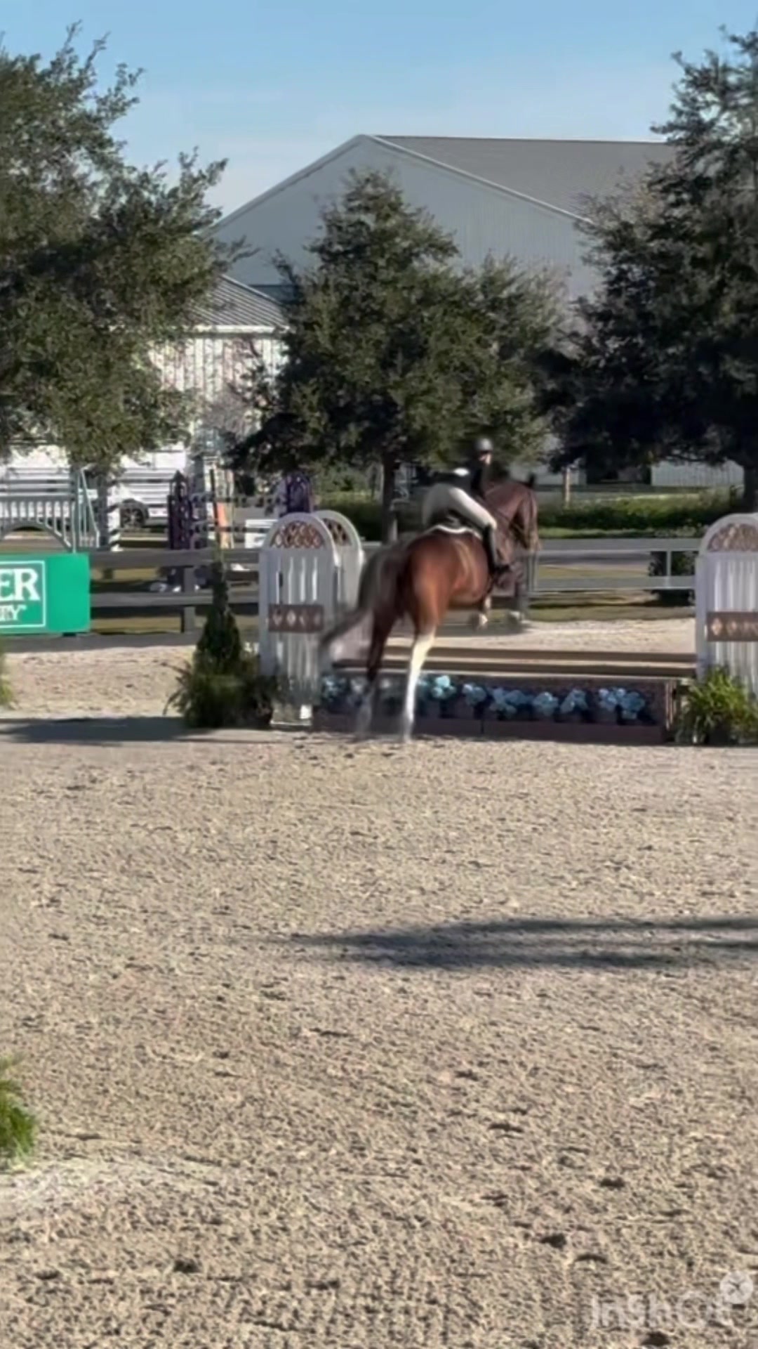 @.ktm.equestrian