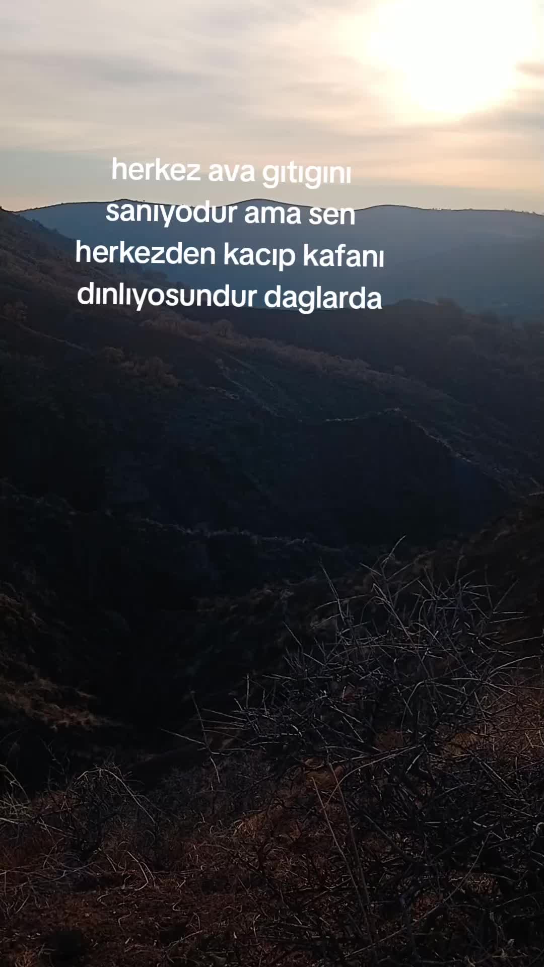 @avci