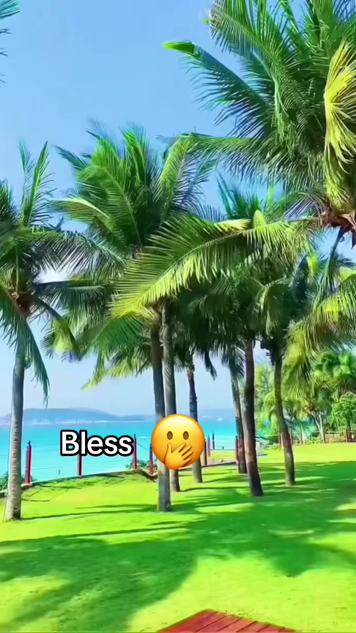 @Luchando por mis sueños 1