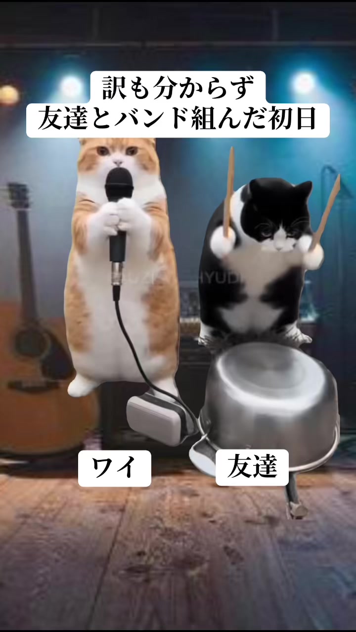 @面白ミーム