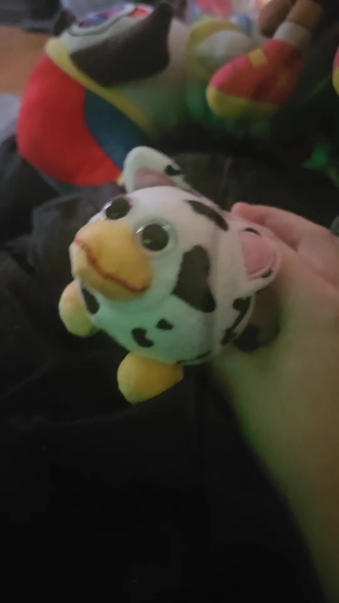 @chickmo's channel official