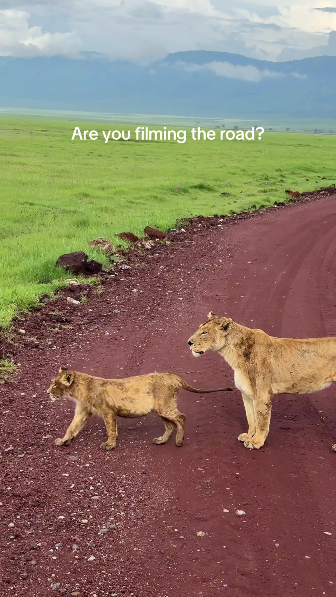 @checkedinwithleslie