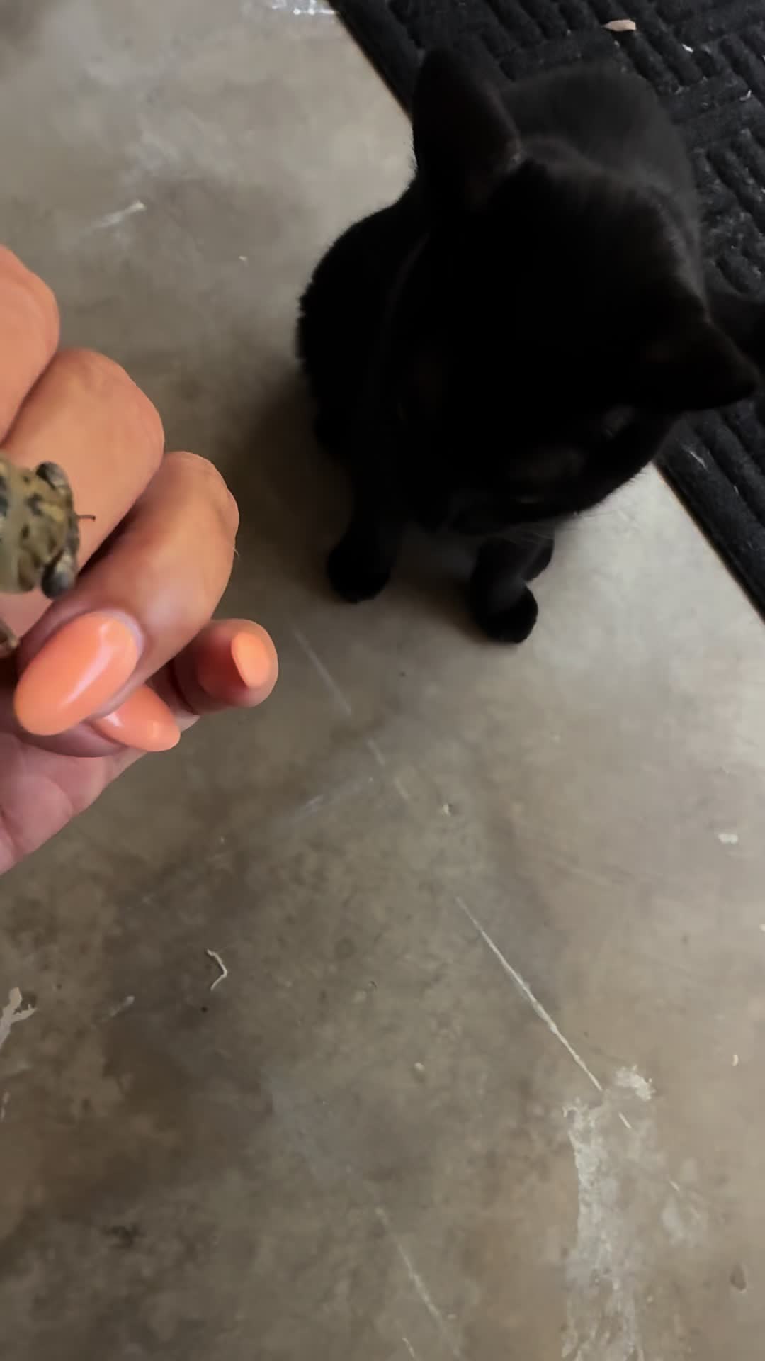 @Molly_Treats