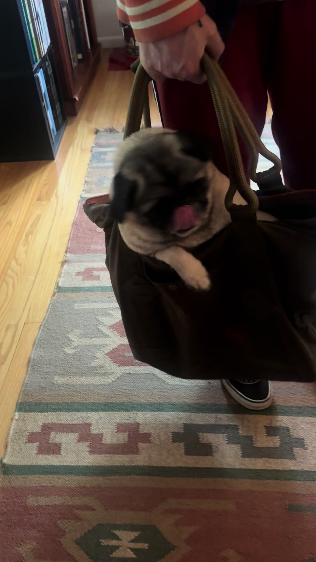 @thepugfang