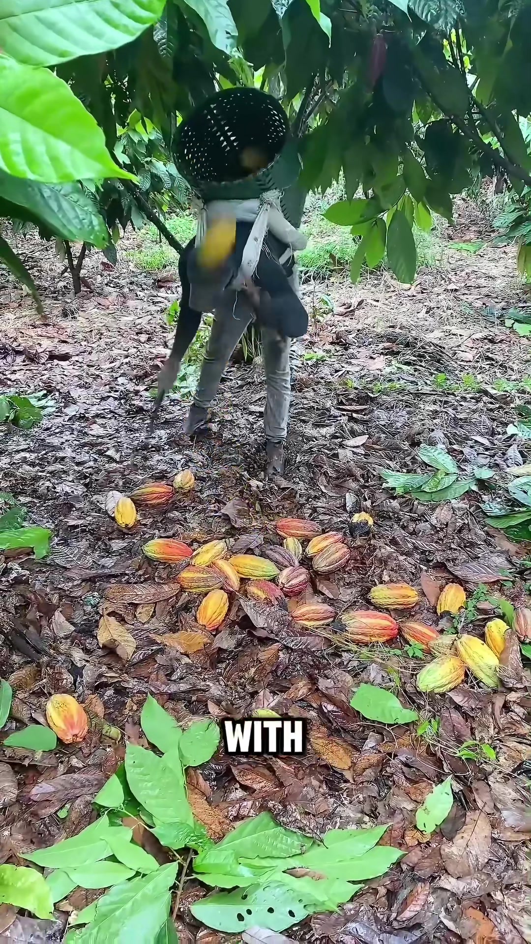 @militarybird