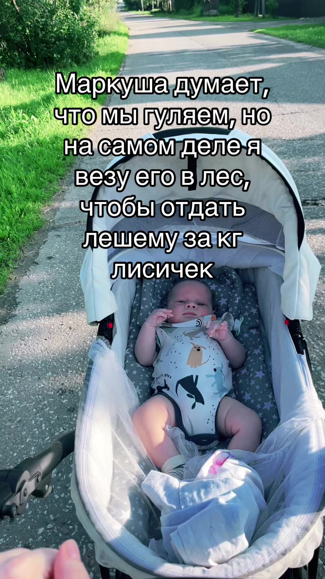 @Alina_Kaesh
