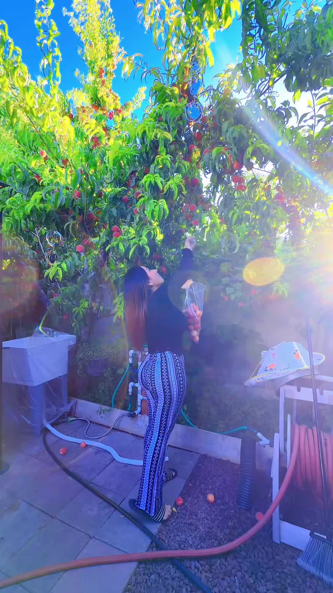@Maiv Maij Maij