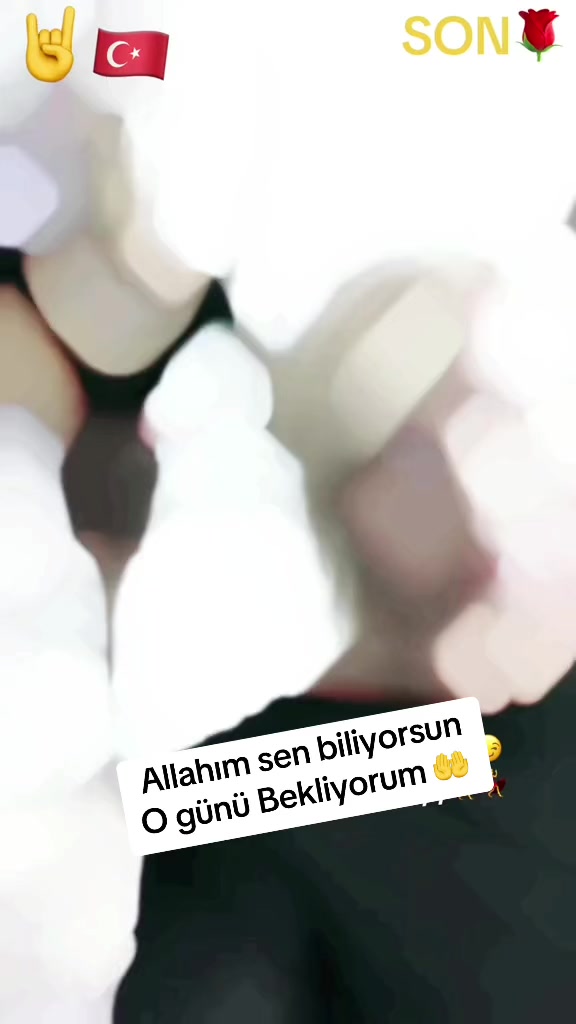 @Demir Asena 🤘🇹🇷🐺