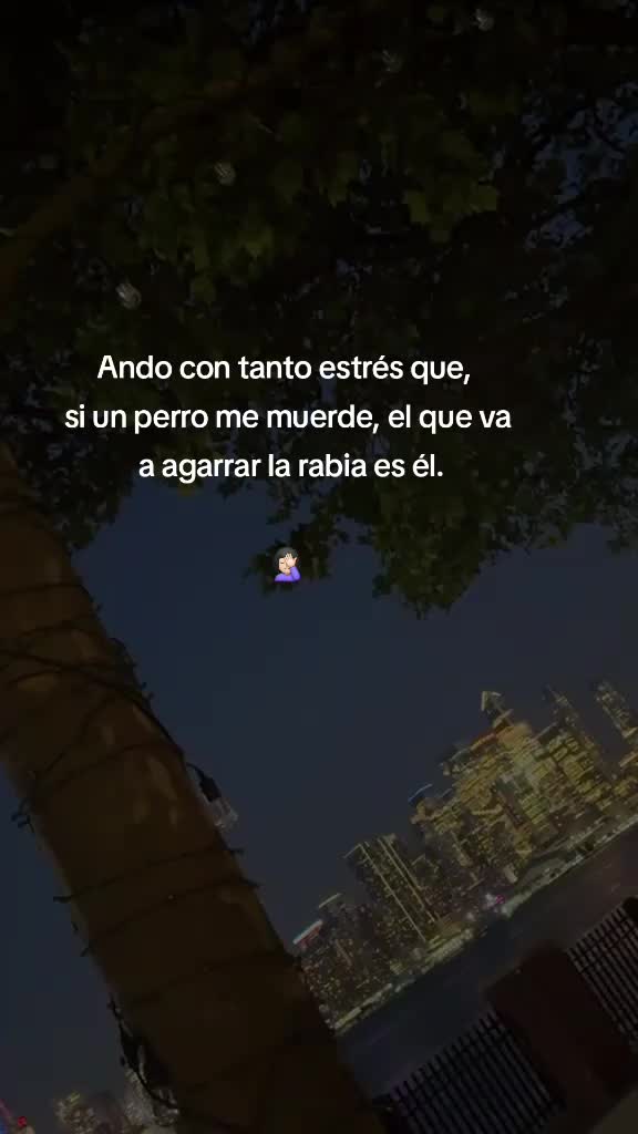 @la dama de negro ⚫️
