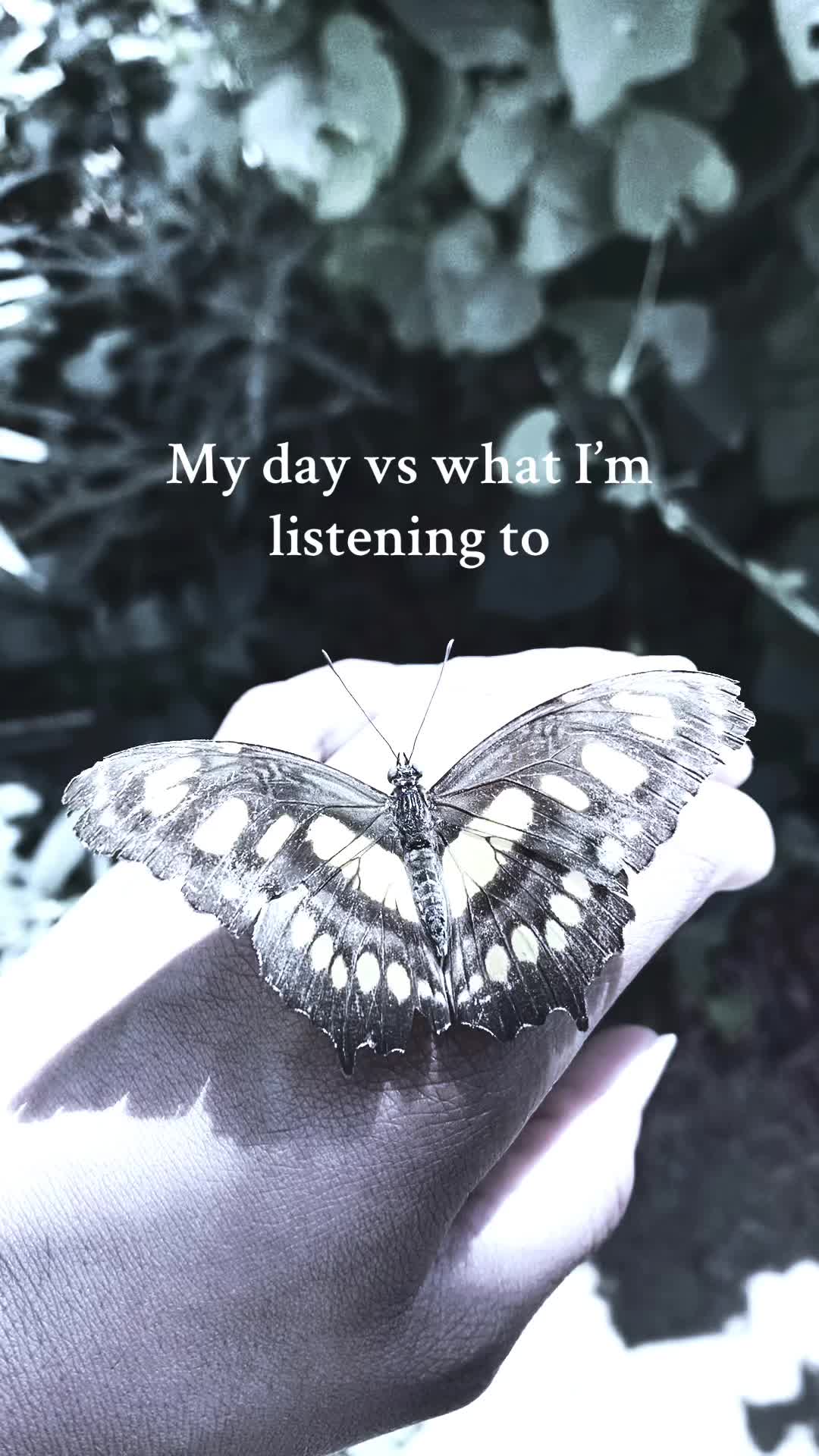 @🦦.
