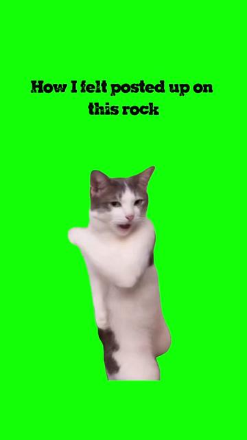 @1Man1Bun
