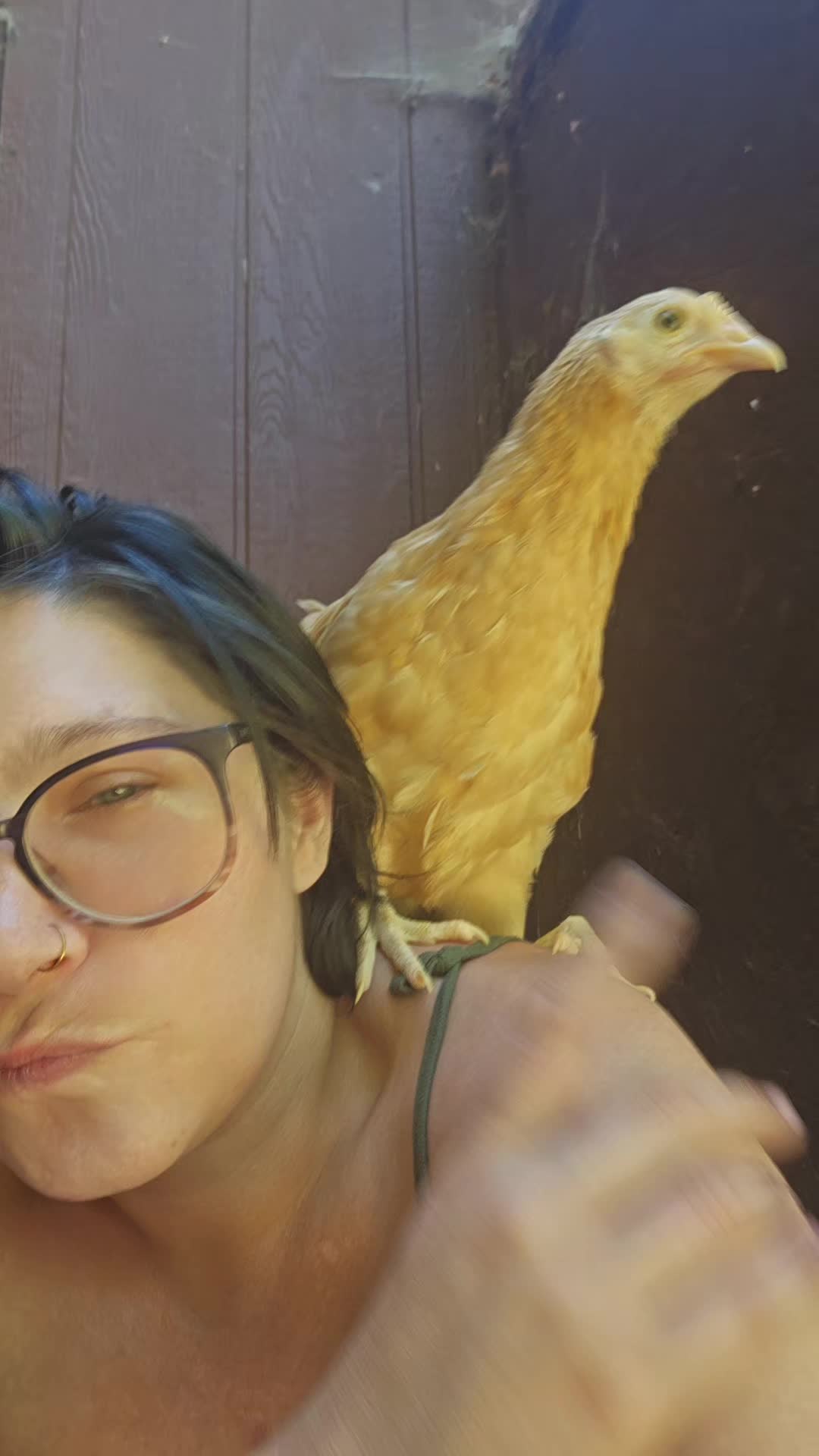 @iechiemewChezaGirl