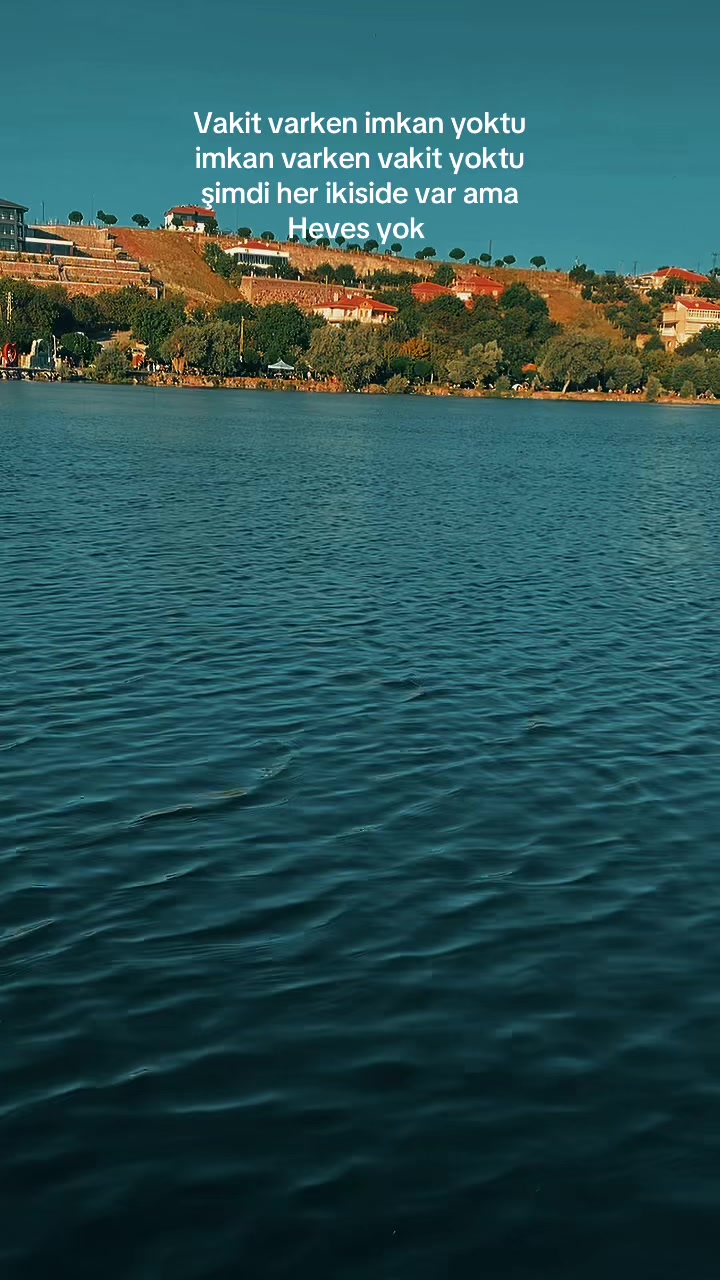 @feritalav68
