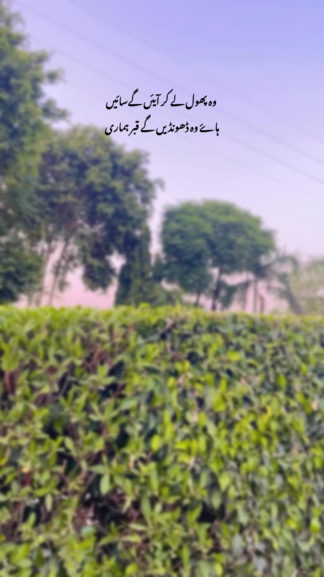 @Laiبa🥀💫
