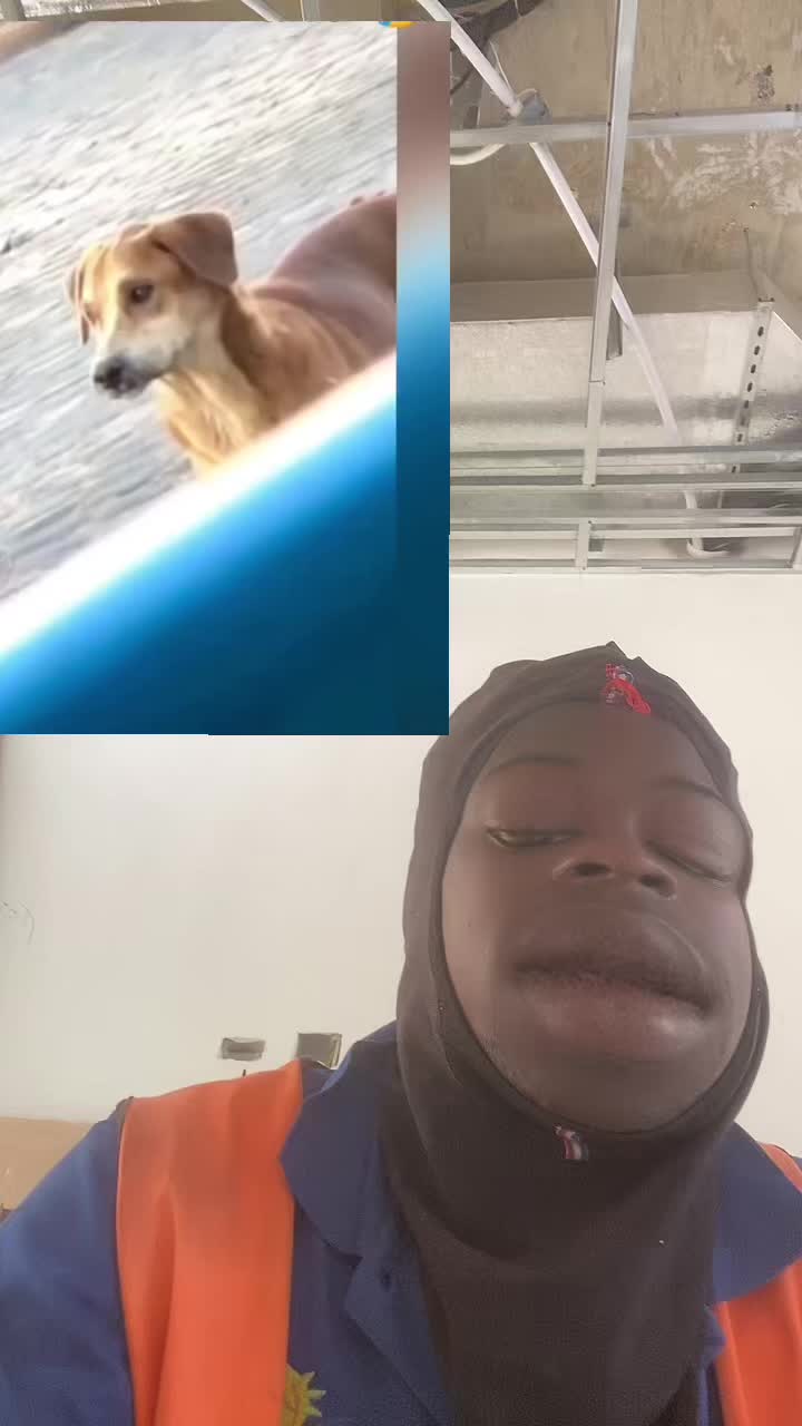 @DNZL 652