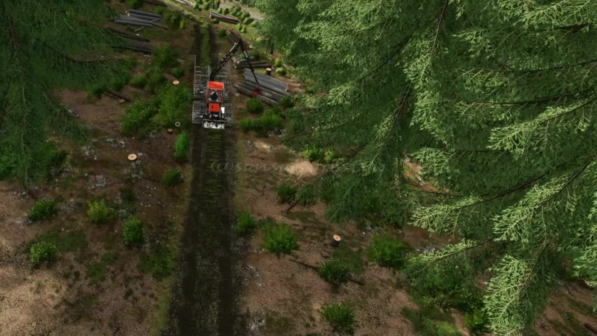 @SONS OF FORESTRY
