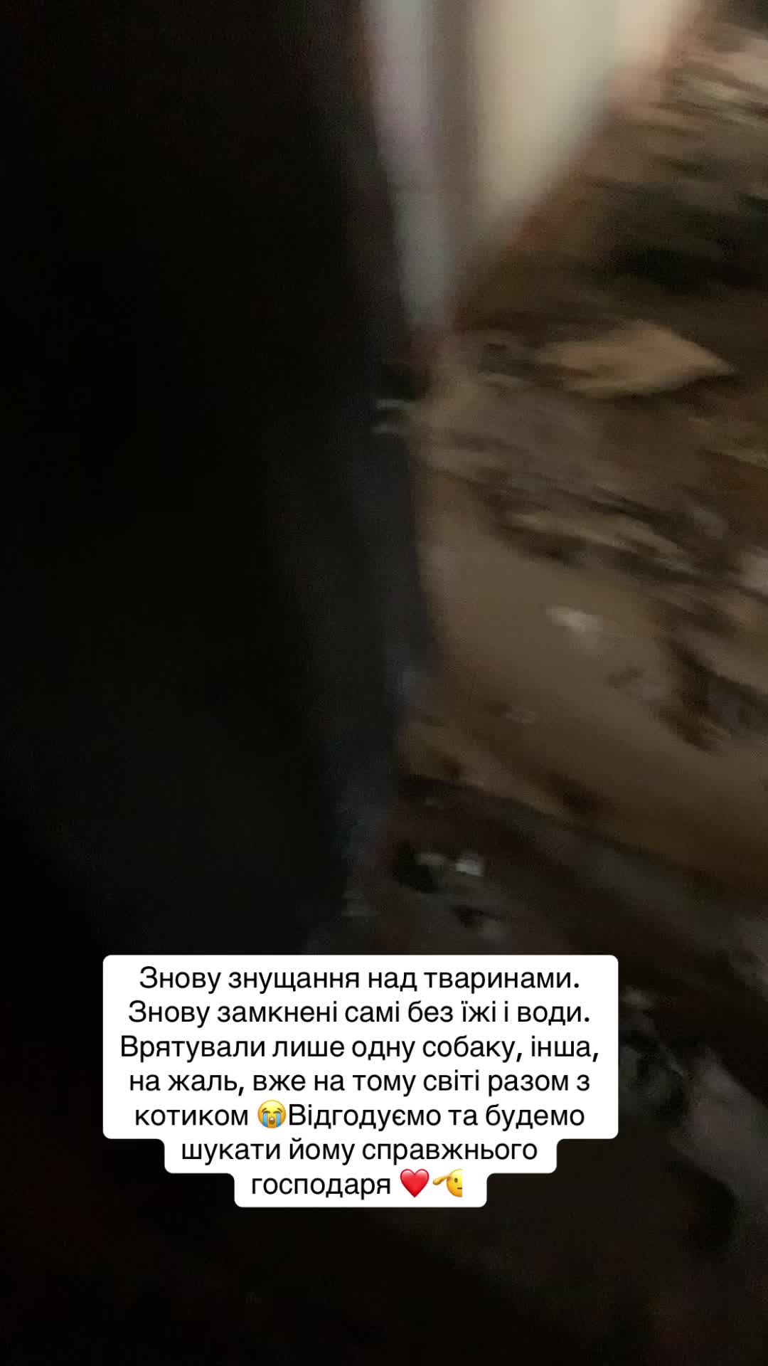 @ukolovanastyusha7777