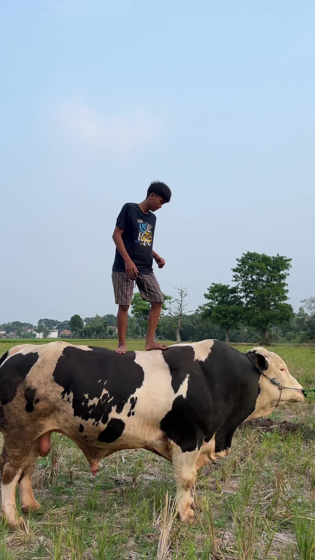 @Wisnu Farm Lampung