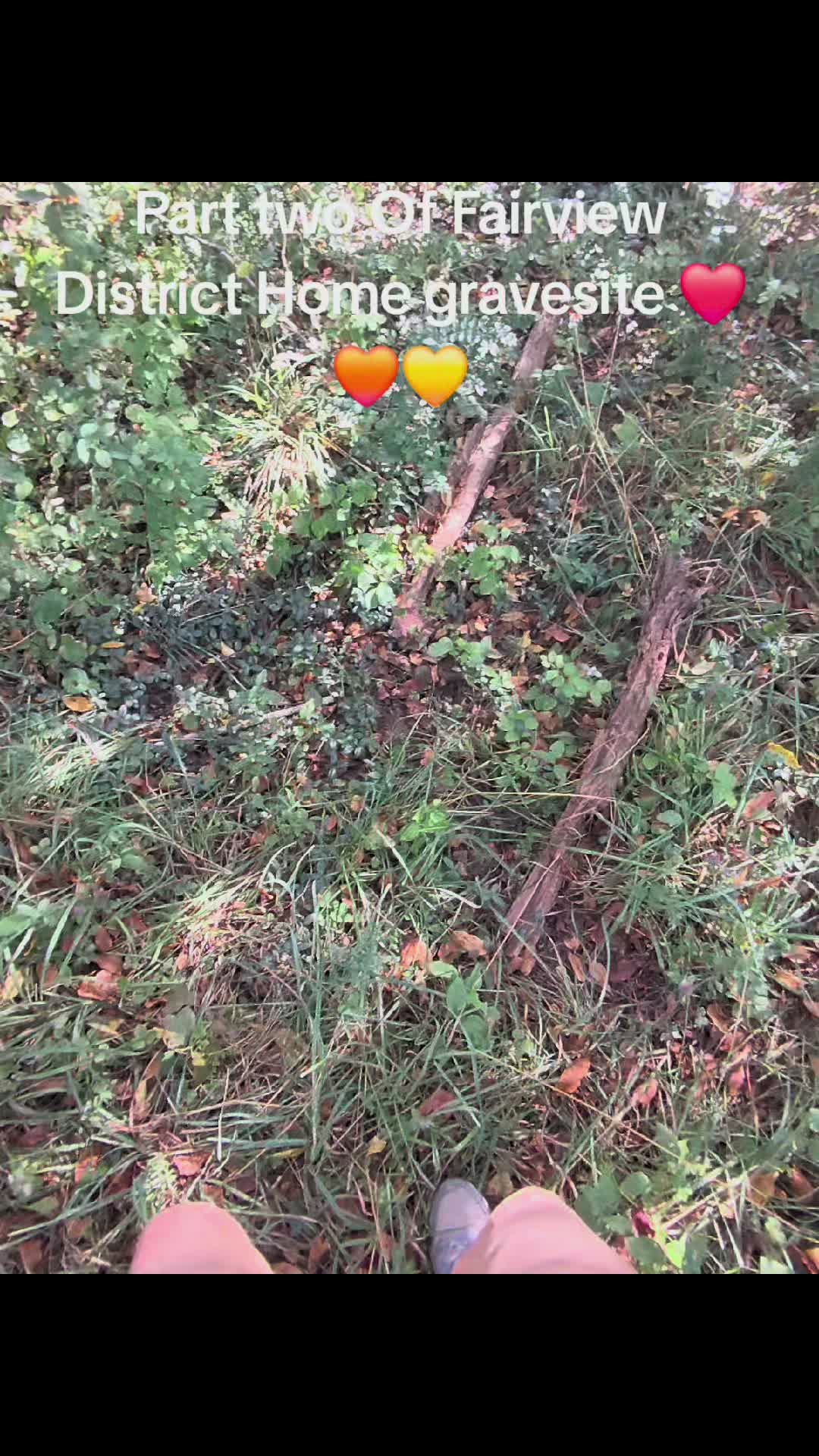 @Steph🖤🍃💨🌈